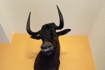  (© Jaroslav Špiroch  08/2025)