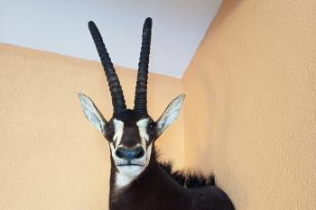  (© Jaroslav Špiroch  08/2025)