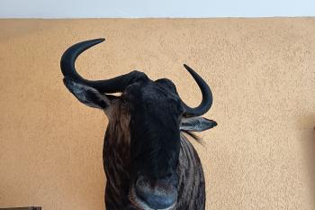  (© Jaroslav Špiroch  08/2025)