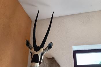  (© Jaroslav Špiroch  08/2025)