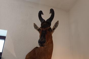  (© Jaroslav Špiroch  08/2025)