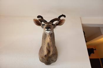  (© Jaroslav Špiroch  08/2025)