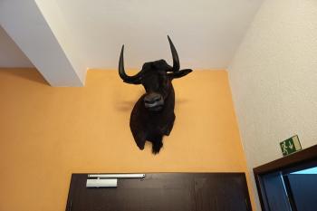  (© Jaroslav Špiroch  08/2025)