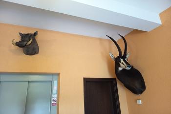  (© Jaroslav Špiroch  08/2025)