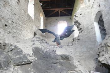 Hrad Kunětická Hora - Drak v hradním paláci (© aleshwarrior, 06/2014)