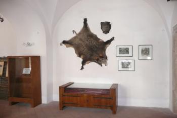 Hrad Kunětická Hora (© aleshwarrior, 06/2014)