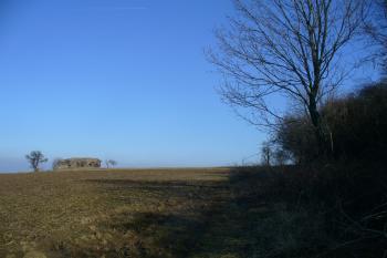 Lechův kámen (© Pavel Jarý, 02/2011)
