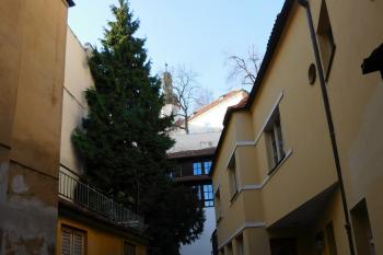  (© Milan Caha  12/2017)