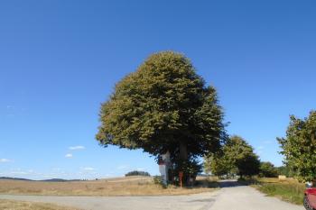  (© Marcela Váňová  08/2025)