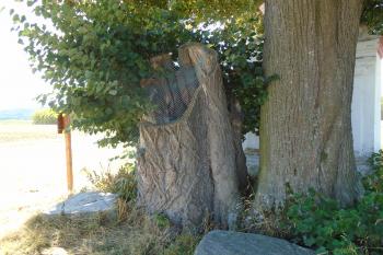  (© Marcela Váňová  08/2025)