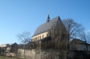  (© Jiří Suchomel, 02/2009)
