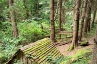 bezejmenná studánka (10632)