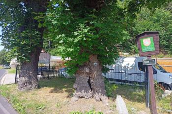 Javorová brána (© Jirka Kliner 06/2022)