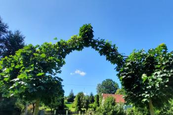 Nová Javorová brána (© Míla 08/2023)