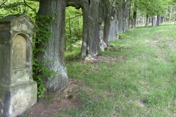 křížová cesta (© Lukáš Sádecký 05/2025)