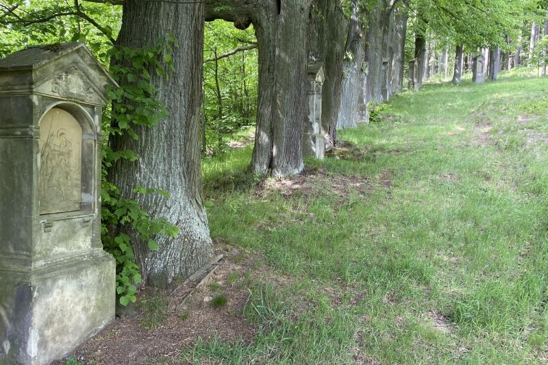křížová cesta ve Velkém Šenově křížová cesta ve Velkém Šenově