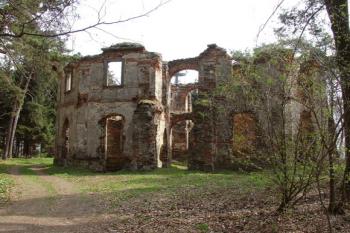 Pohled na zříceninu od cesty ( © Jiří Čížek 04/2005)