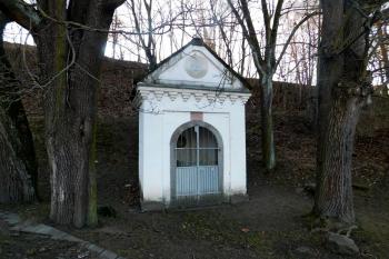  (© Milan Caha  02/2022)