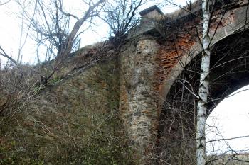  (© Milan Caha  11/2010)