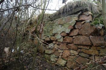  (© Milan Caha  11/2010)