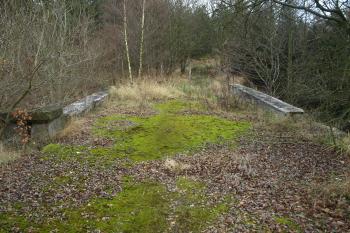  (© Milan Caha  11/2010)