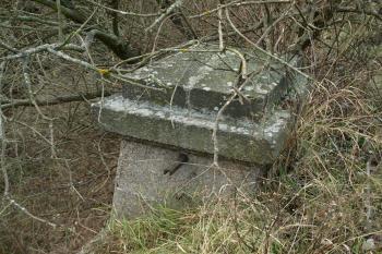  (© Milan Caha  11/2010)