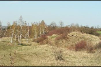 Srdce hradiště při jeho západní hraně ( © Petr Turyna 04/2005)