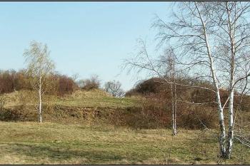 Zvlněný terén západní části hradiště ( © Petr Turyna 04/2004)
