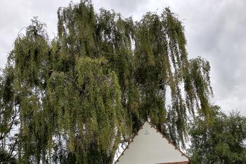  (© Jaroslav Špiroch  09/2025)