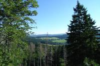 Kunžvart
