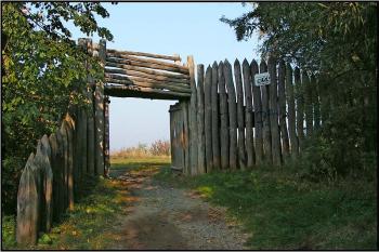 ( © Petr Turyna 10/2005)
