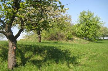  (© Zdeněk Susa, 04/2009)