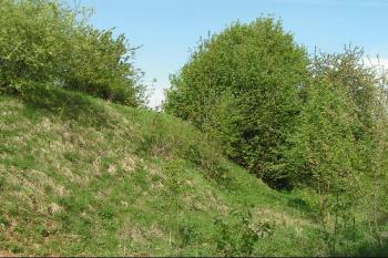 Podél dlouhého pásu valů vede cesta k zámku Koloděje ( © Petr Turyna 05/2004)