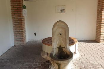 Štengar (© Lenka Chromá 04/2021)