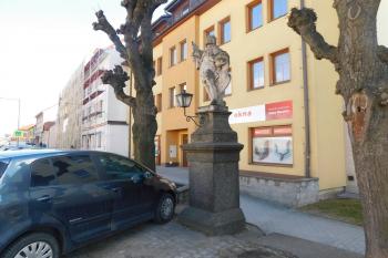  (© Milan Caha  02/2022)