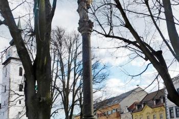  (© Milan Caha  02/2022)