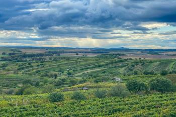 Vyšicko-výhled (© Ivan M. 11/2024)