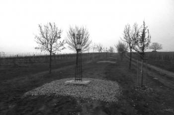 křížová cesta (© Dagmar Sieglová 12/2025)