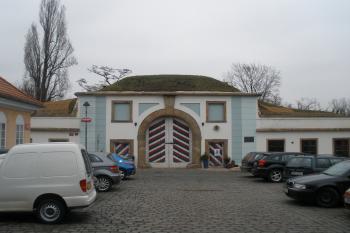  (© Jiří Suchomel, 02/2009)