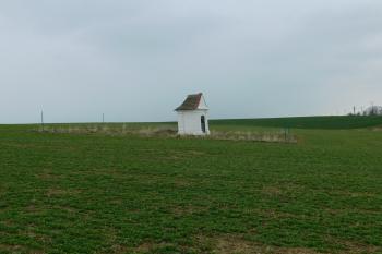  (© Milan Caha  01/2016)