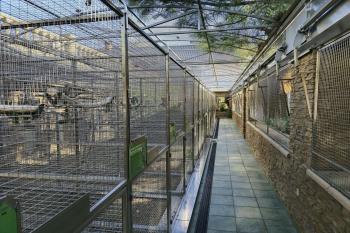 papouščí zoo (© Petr Tomášek 10/2024)