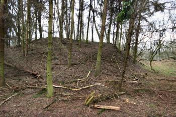 tvrziště od severu (© Pavel Zany Komárek  01/2026)