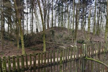 tvrziště od severovýchodu (© Pavel Zany Komárek  01/2026)