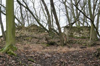 zbytky kostela od severu (© Pavel Zany Komárek 20. 1. 2007)