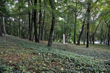 Zámecký park po vysekání náletů (© Michal Bláha, 06/2014)