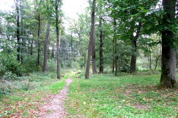Tvrziště v obci Chotovice u Nového Boru. (© Pavel Vítek  10/2025)