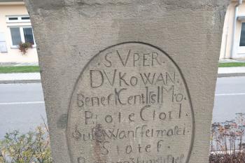 socha JN (© Evais 11/2022)