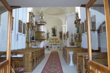 Medlov (© Eva Koutná 07/2014)