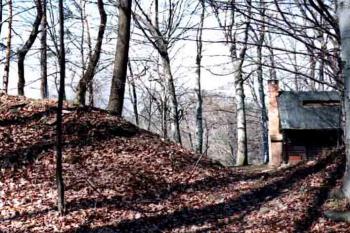 tvrziště (© Iva Spurná 04/2004)
