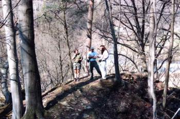 ostrožna (© Iva Spurná 04/2004)